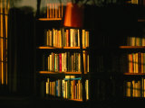 Buy Sunlight on Bookshelves, Oxford, England at AllPosters.com