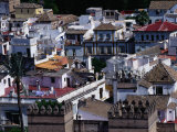 The Rooftops of Seville, Andalucia, Sevilla, Spain