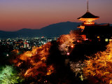 Main Hall, Sakura Trees and Pagoda Lit Up at Night at Kiyomizu-Dera Temple, Kyoto, Japan