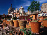Buy Pots of Cacti, San Miguel De Allende, Guanajuato, Mexico at AllPosters.com