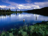 Fly Fishing in Yellowstone River, Yellowstone National Park, USA