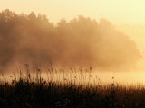 Buy Morning Mist, Lake Vattern, Jonkoping, Sweden at AllPosters.com