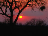 African Sunset, Kruger National Park, Kruger National Park, Mpumalanga, South Africa