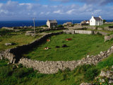 Farm at Inishmore, Ireland