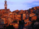 View Across Rooftops to Torre Del Mangia, Siena, Tuscany, Italy