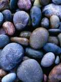 Buy Detail of Beach Pebbles, Murramarang National Park, Australia at AllPosters.com