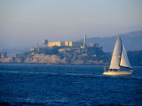 Sailing Boat in Front of Alcatraz Island, San Francisco, California, USA