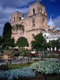 Cathedral of Cuenca Looking Next to Parque Calderon, Cuenca, Azuay, Ecuador