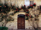 Buy Roses Climbing Over Front of House in the Loire Valley, Loches, France at AllPosters.com