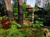 Buy Japanese Tea Garden in Golden Gate Park, San Francisco, USA at AllPosters.com