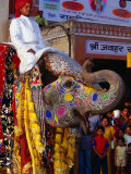 Buy Man Riding Decorated Elephant in Street Parade of Annual Elephant Festival, Jaipur, India at AllPosters.com