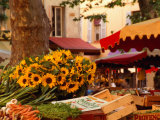 Sunflowers on Market Stall, Aix-En-Provence, France