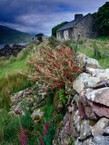 Abandoned Cottage on the Famine Relief Road in Killary Harbour, Connemara, Connaught, Ireland