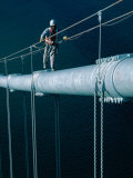 Buy Bridge Painter on San Francisco-Oakland Bay Bridge, San Francisco, California, USA at AllPosters.com