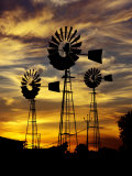 Windmills at Sunset in Penong, Australia