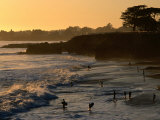Buy Swimmers on Beach at Sunset, Santa Cruz, USA at AllPosters.com
