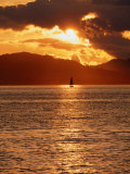 Buy Sailboat Sails into Sunset, San Francisco, California, USA at AllPosters.com