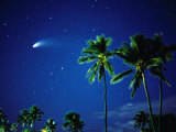 Buy Comet Hale-Bopp with Palm Trees, Kaanapali, Hawaii, USA at AllPosters.com