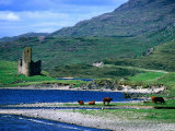 Buy Ardvreck Castle on Loch Assynt, Assynt, Scotland at AllPosters.com