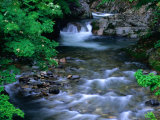 Buy River in Springtime in Aomori-Ken, Shirakami Sanghi, Japan at AllPosters.com