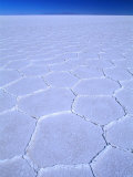 Buy Polygonal Patterns on Salt Flats, Salar De Uyuni, Potosi, Potosi, Bolivia at AllPosters.com