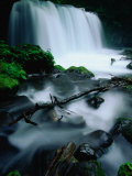 Waterfall and Rocks in Aomori-Ken, Oirase Gorge, Japan