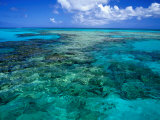 Buy Devil's Backbone, a Ragged Shallow Reef That Borders the Northern End of Eleuthera, Bahamas at AllPosters.com
