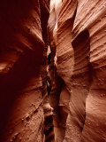 Slot Canyon of Spooky Gulch, Grand Staircase-Escalante National Monument, Utah, USA