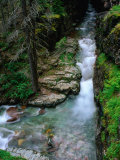 Buy Overhead of Sunrift Gorge, Glacier National Park, USA at AllPosters.com