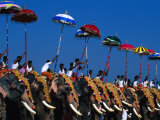 Buy Men Riding Decorated Elephants at Annual Pooram Festival, Thrissur, India at AllPosters.com