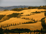 Golfen Tuscan Landscape Near La Foce, Tuscany, Italy