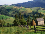 Rural Countryside, Sacele, Brasov, Romania,