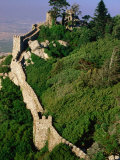 Buy Walls and Surrounding Trees of Castelo Dos Mouros, Sintra, Portugal at AllPosters.com