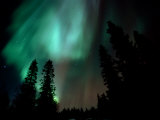 Aurora Borealis (Northern Lights) in Forest, Kuusamo, Finland