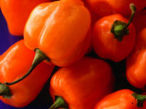 Buy Red Peppers, Australia at AllPosters.com