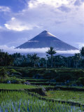 Mt. Mayon, One of the Most Dangerous Volcanoes in the World, Above Rice Paddys, Albay, Philippines
