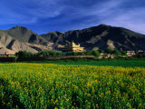 Buy Samye Monastery Across Field, Samye Monastery, Tibet at AllPosters.com