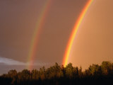 Buy Rainbows Over Trees, USA at AllPosters.com