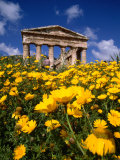 Greek Temple in Spring, Agrigento, Sicily, Italy