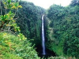 Waterfall in Akaka Falls State Park, United States of America