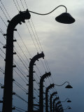 Barbed Wire Electric Fence at Auschwitz-Birkenau Concentration Camp, Oswiecim, Malopolskie, Poland