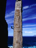 Buy Rock-Climber Ascending the Totem Pole Rock Stack on the Tasman Peninsula, Australia at AllPosters.com