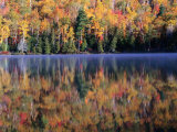 Buy Trees at Autumn, Reflected in Heart Lake, Adirondak Mountains, New York, USA at AllPosters.com