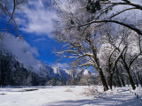 Winter Countryside Under Snow, Yosemite Valley, California, USA