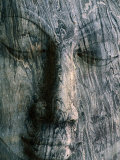 Buy Face of 14M Long Reclining Image of Buddha, Polonnaruwa, North Central, Sri Lanka at AllPosters.com