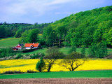 Rape Fields and Forests Surrounding Farm House on Kulla Peninsula, Skane, Sweden