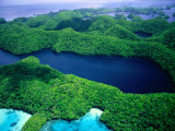 Buy Aerial View of Long Lake on Mecherchar Island, Rock Islands, Koror, Palau at AllPosters.com