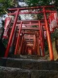 Buy Red Torii of Hie-Jinja (Shrine), Akasaka, Tokyo, Japan at AllPosters.com
