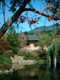 Bulguksa (Pulguksa) Temple Gyeongju, Gyeongsangbuk-Do, South Korea