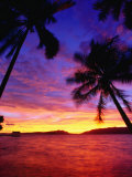 Buy Island Sunset, Marovo Lagoon, Western Province, Solomon Islands at AllPosters.com